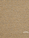 Adiabroxo ufasma Epiploseon 'Plexus' (140cm) se Diafores Apoxroseis